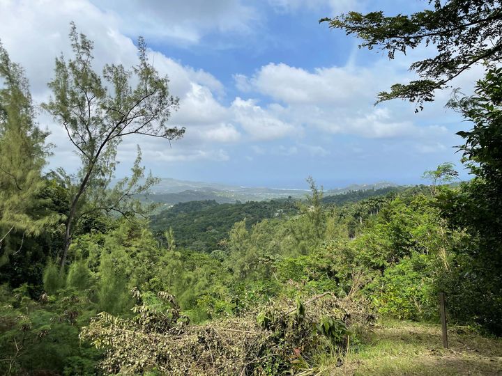 Wide view of a green landscape on a sunny day