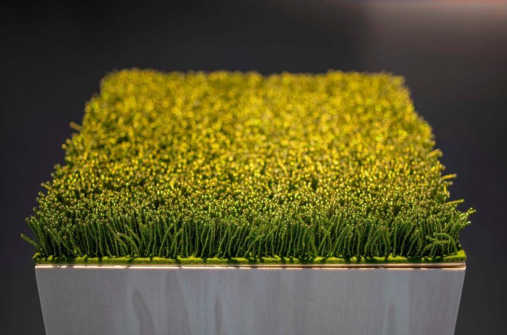 Close-up of an artwork that uses beadwork to imitate the look of a mown green lawn