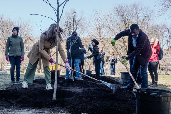 A group of people gardening and planting outdoors on a bright winter day