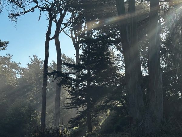 Warded, excerpt no. 3