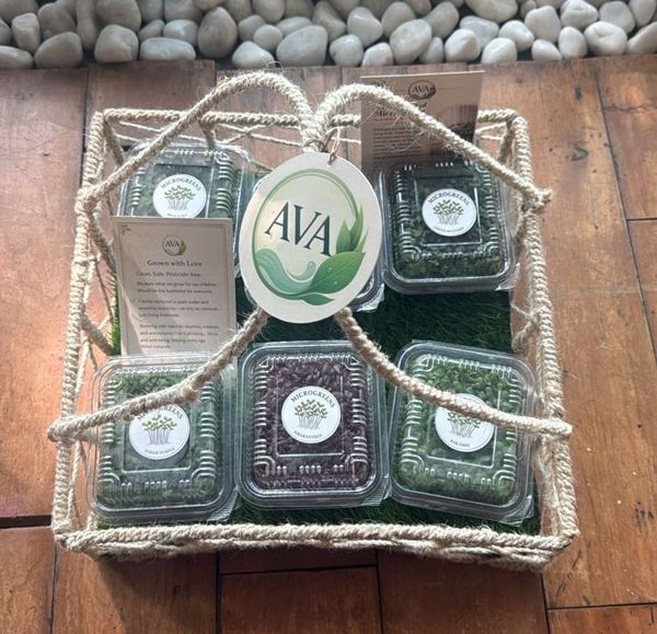 Micro Greens: Its all about nutrient density