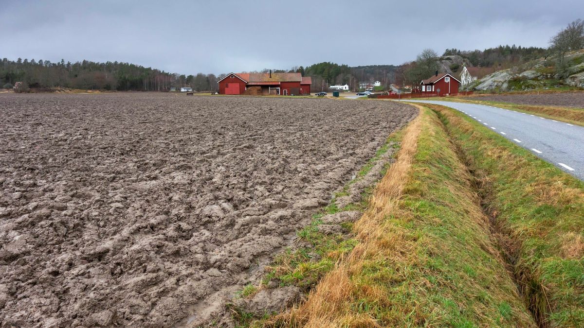 Nypløyd åker.