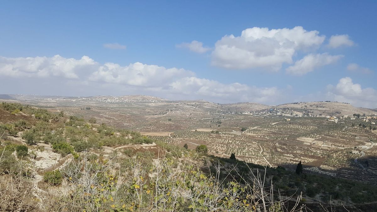 Nord-Samaria sett fra Sebastia: Burqa i dalsiden, Homesh-ryggen over.