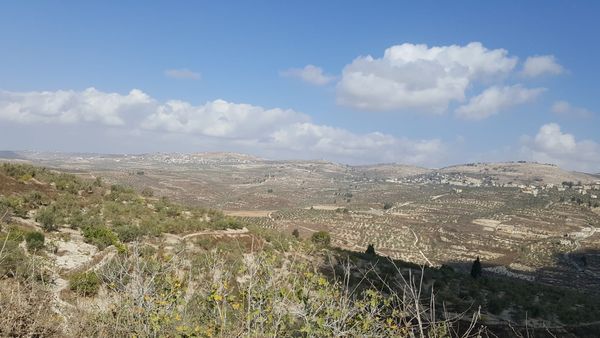Nord-Samaria sett fra Sebastia: Burqa i dalsiden, Homesh-ryggen over.