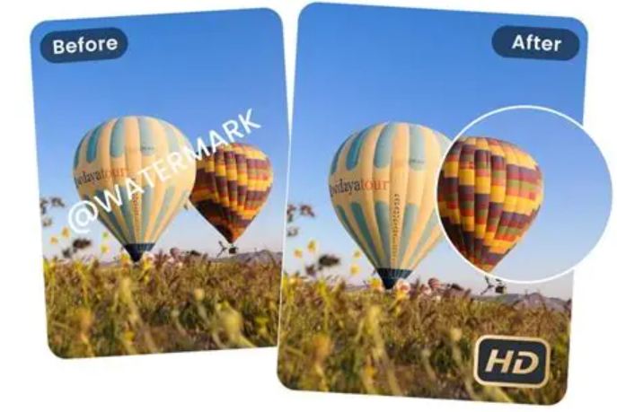 Remove watermark from hot air balloon video