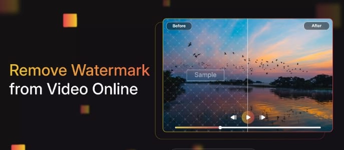 Remove Video Watermark from Video Online