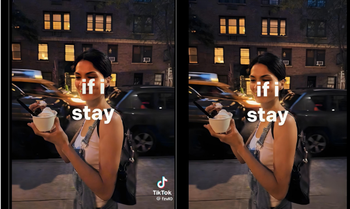 Text overlay removal performance evaluation sample