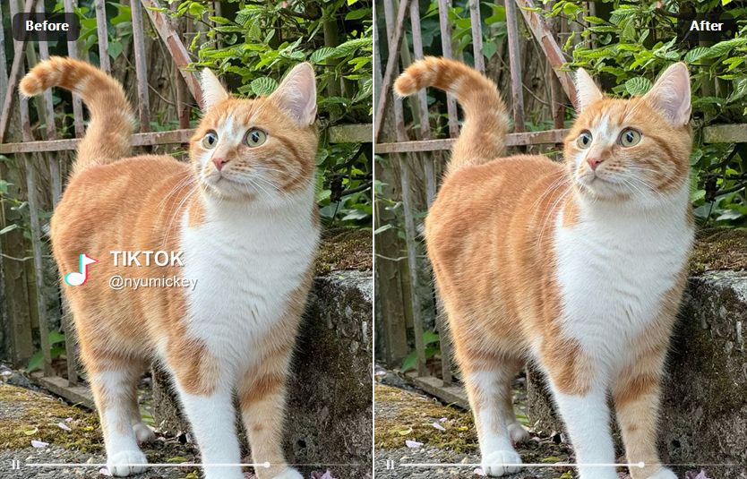 Video cleanup before after example