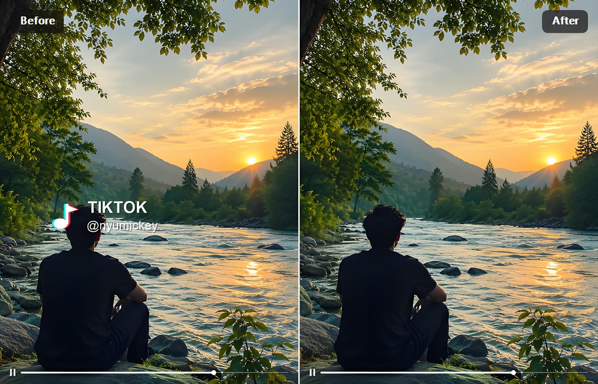 TikTok watermark removal comparison