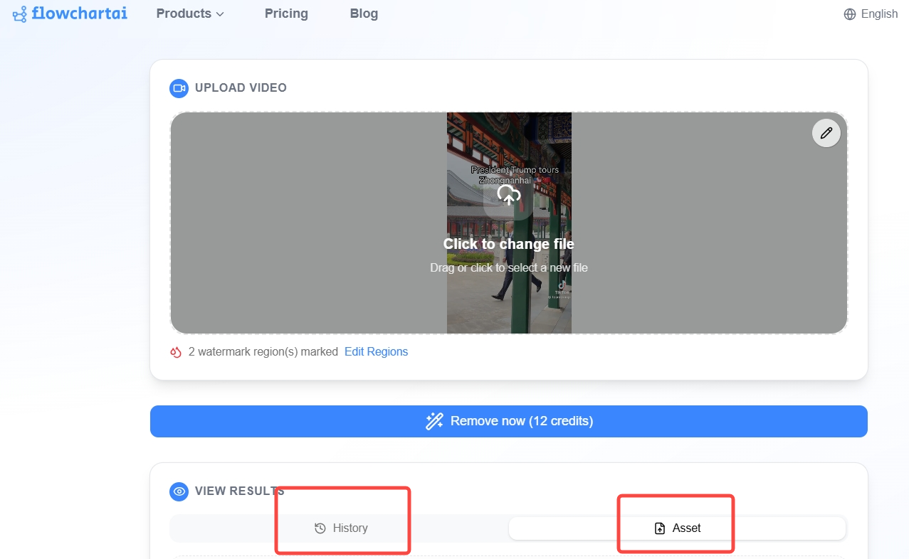 View watermark removal history and download videos
