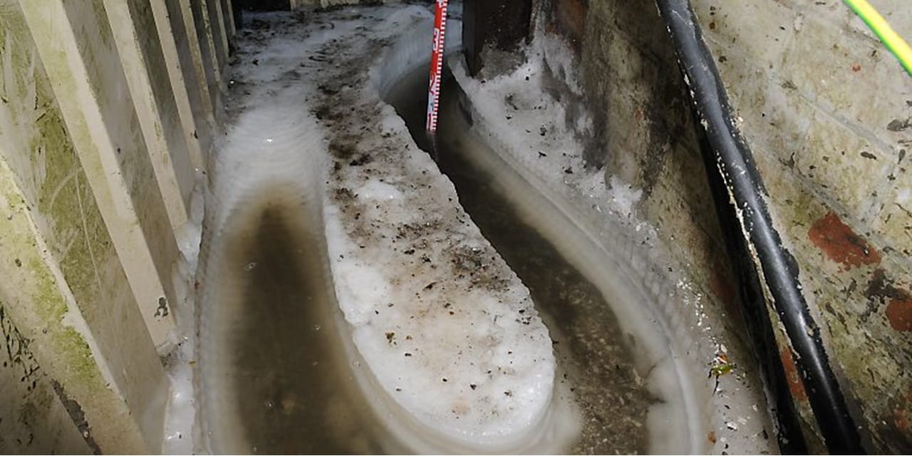 Companies fined after deaths at chicken factory