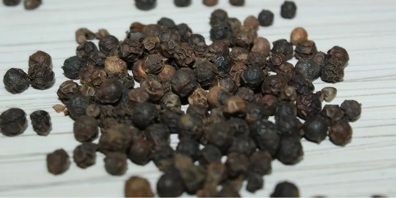 EU audit shows improved Brazilian Salmonella situation for pepper and watermelon