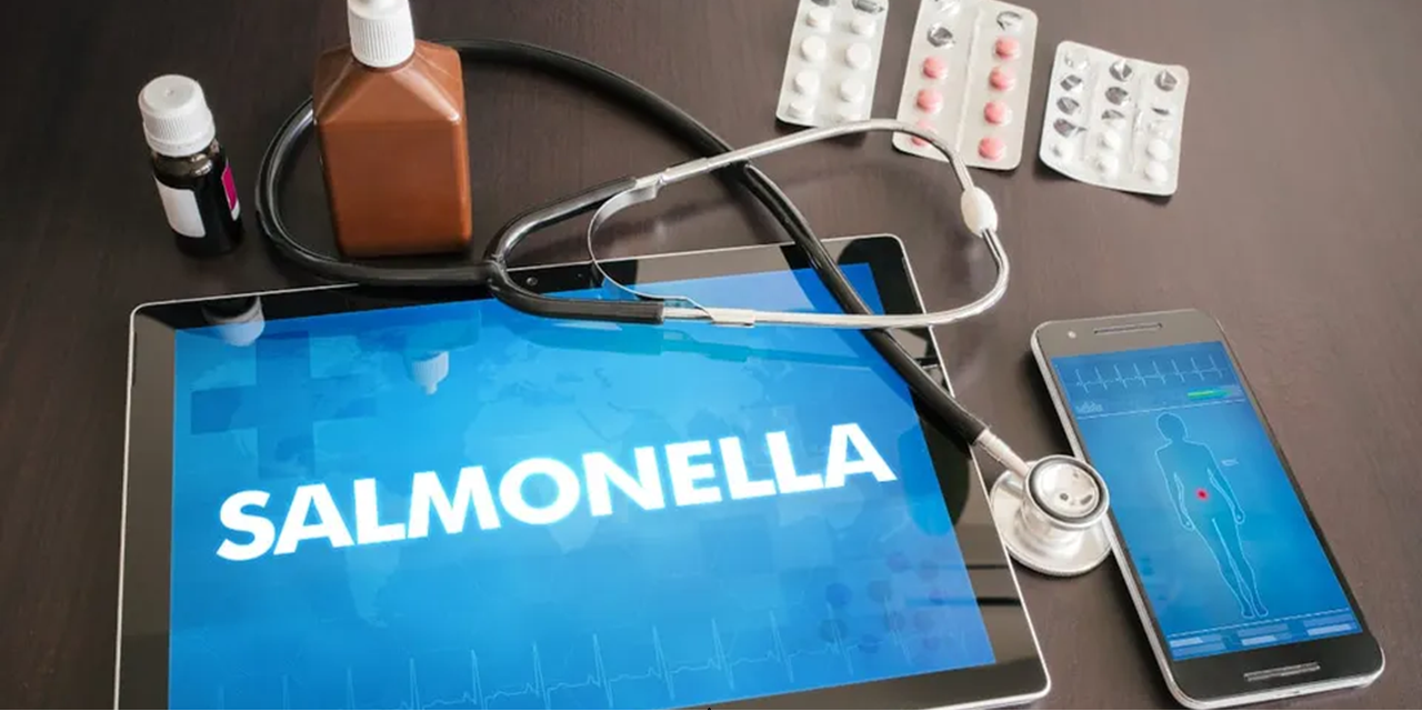 Salmonella outbreak sickens 32 in Finland