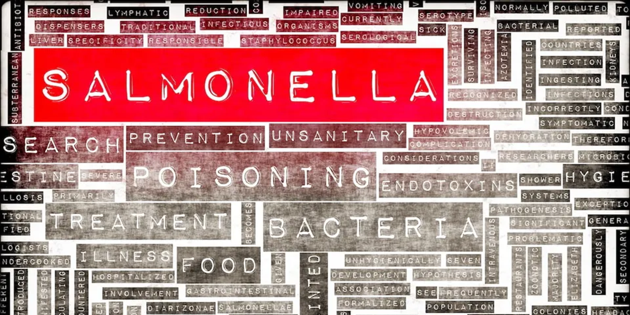 Restaurant fined over link to Salmonella outbreak