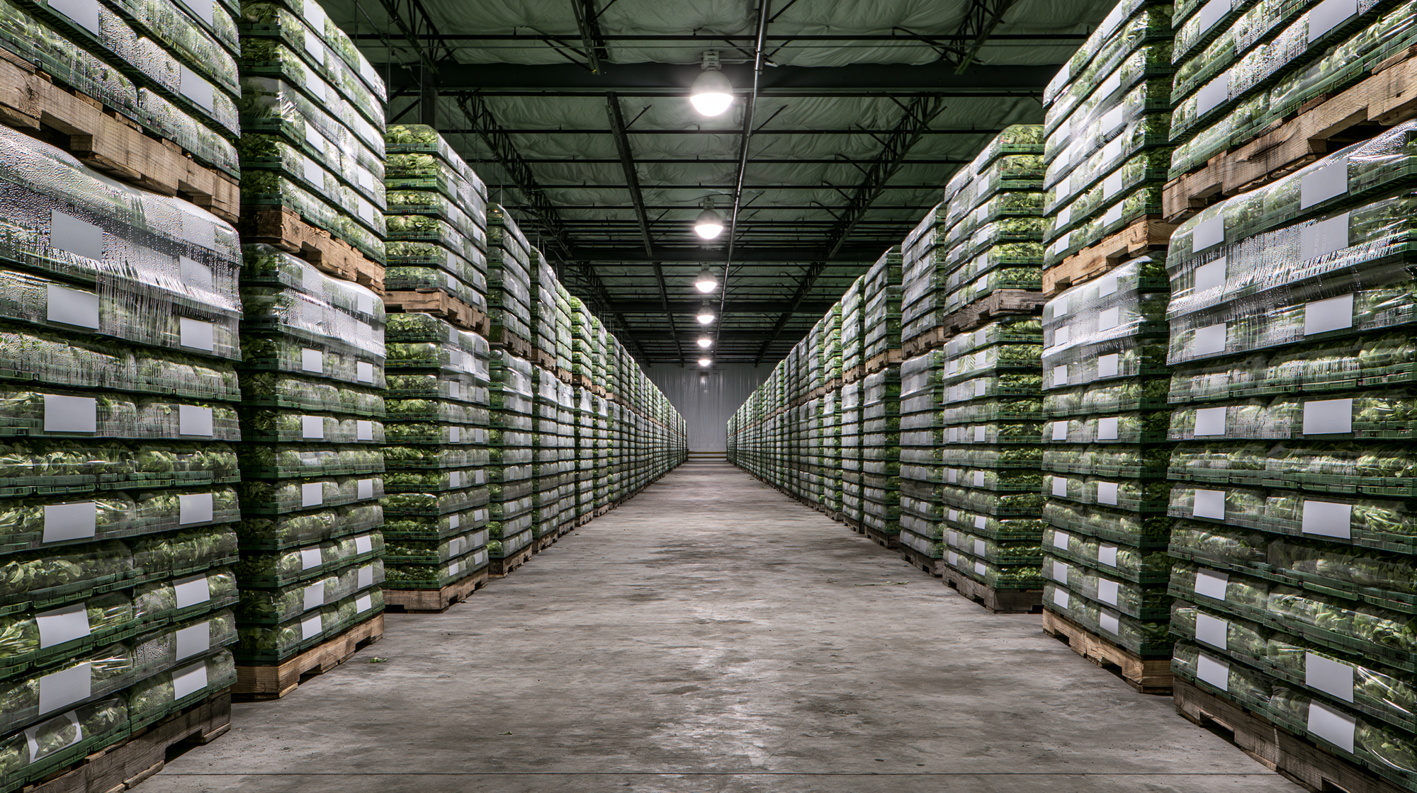 Publisher’s Platform: The Traceability Rule Was Supposed to Be Law in January. This Cyclospora Outbreak Started in May.