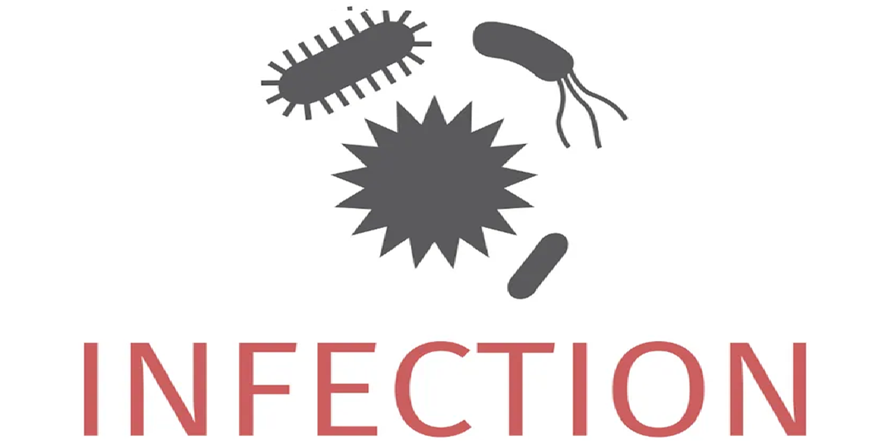 Swiss Food Agency Reports Increase in Foodborne Illness Outbreaks