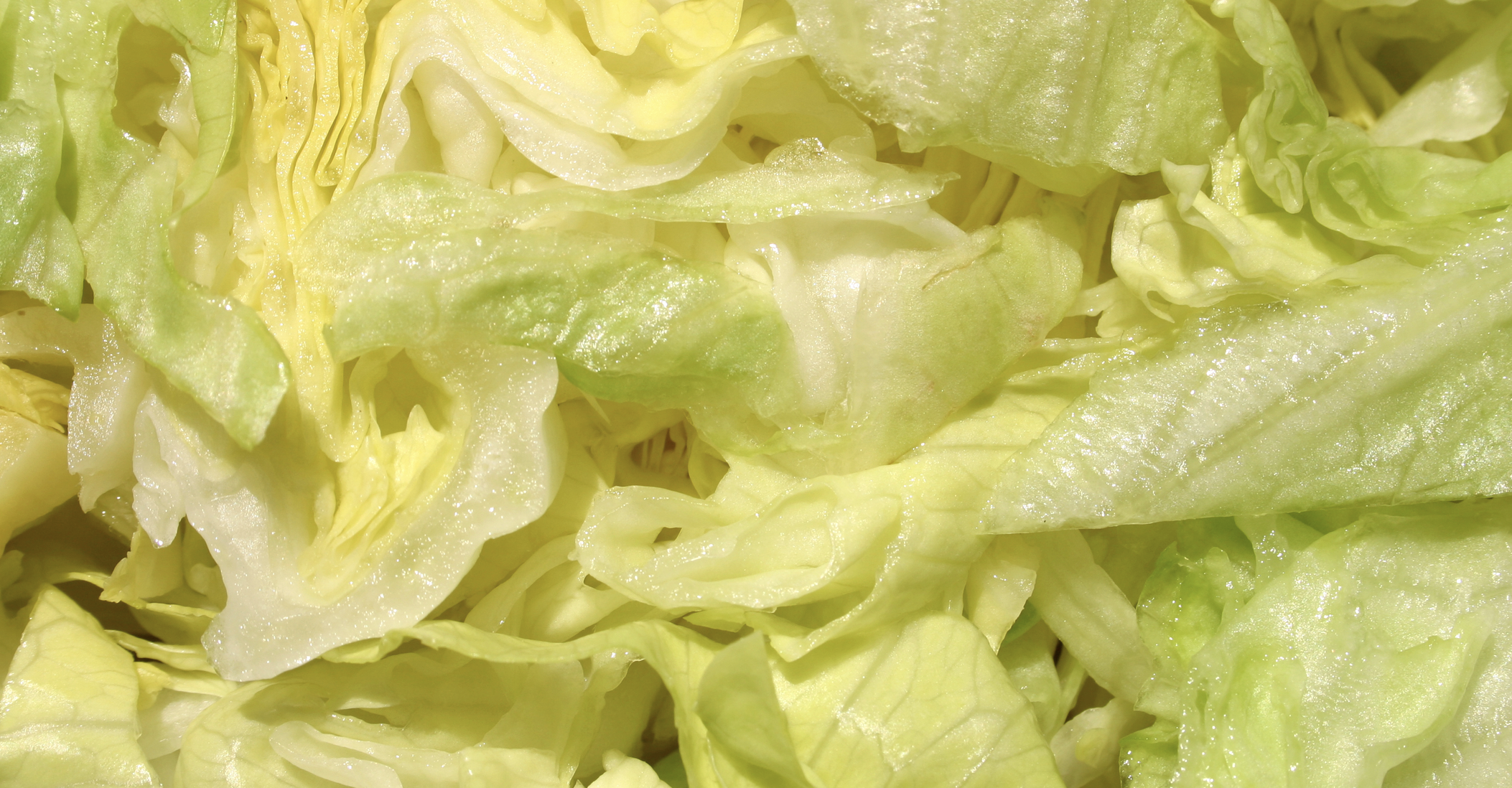Outbreak of infections from Cyclospora parasite reaches 41 states