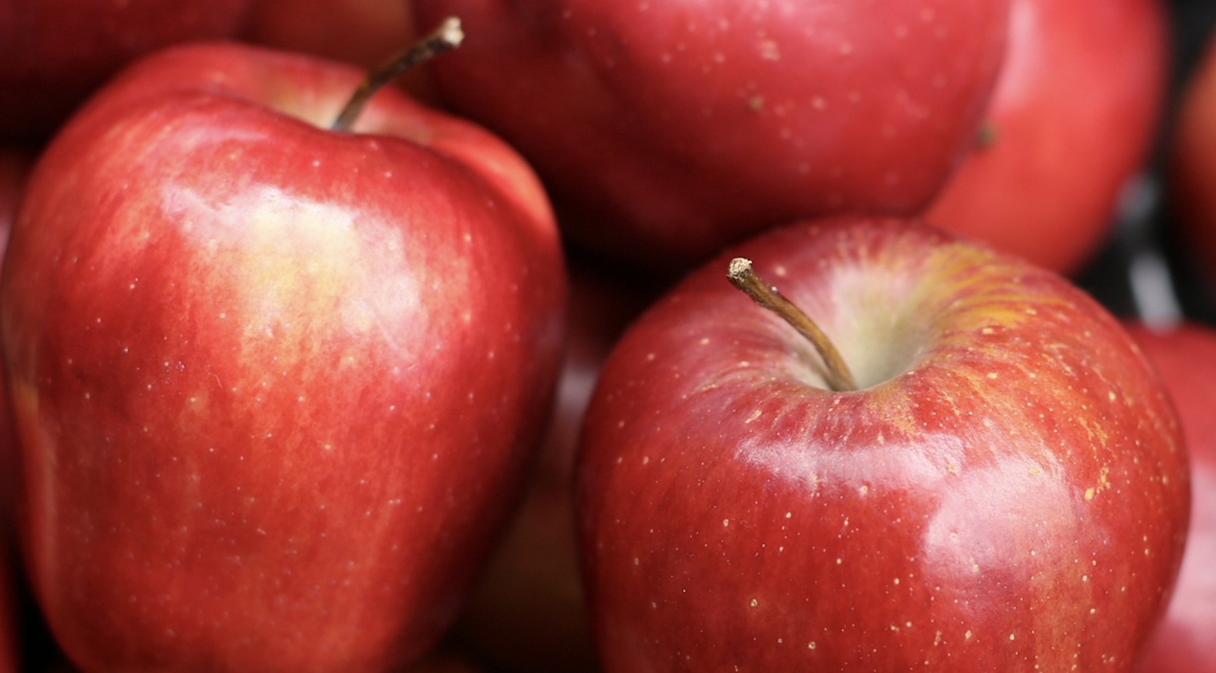 Suction-Based Apple Harvester Aims to Improve Efficiency and Worker Safety