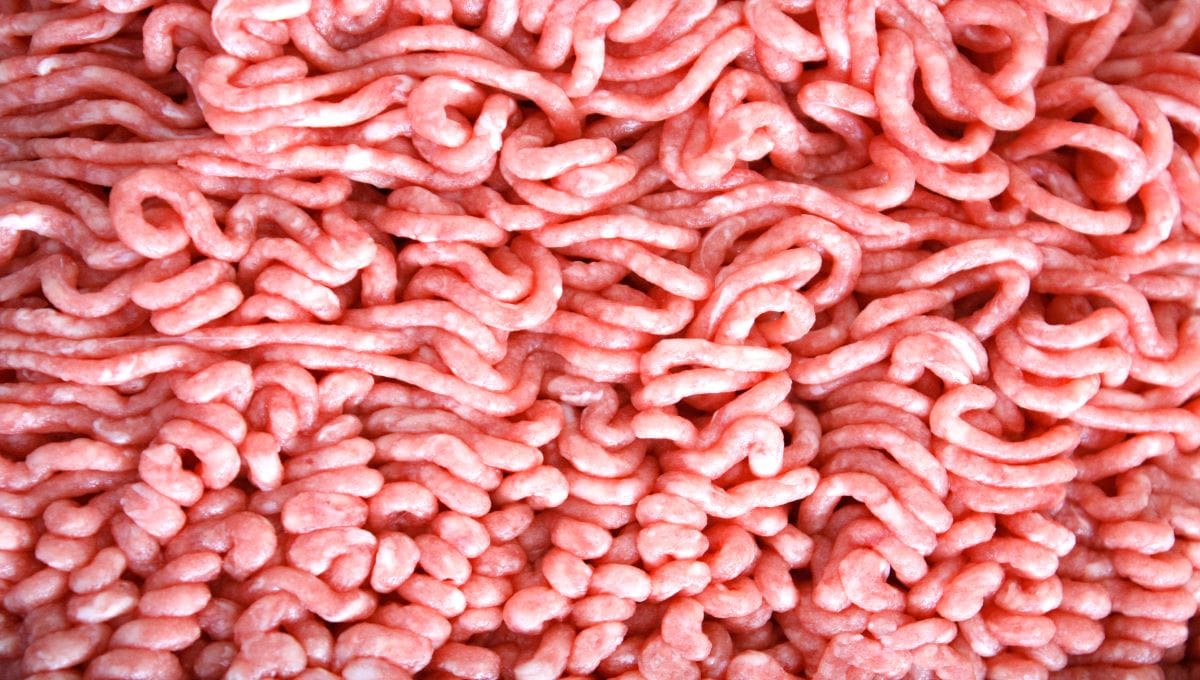 foodsafetynews.com - Bill Marler - Publisher's Platform: Hamburger E. coli was 95 percent of my practice until federal inspection ended it. On-farm slaughter would bring it back.