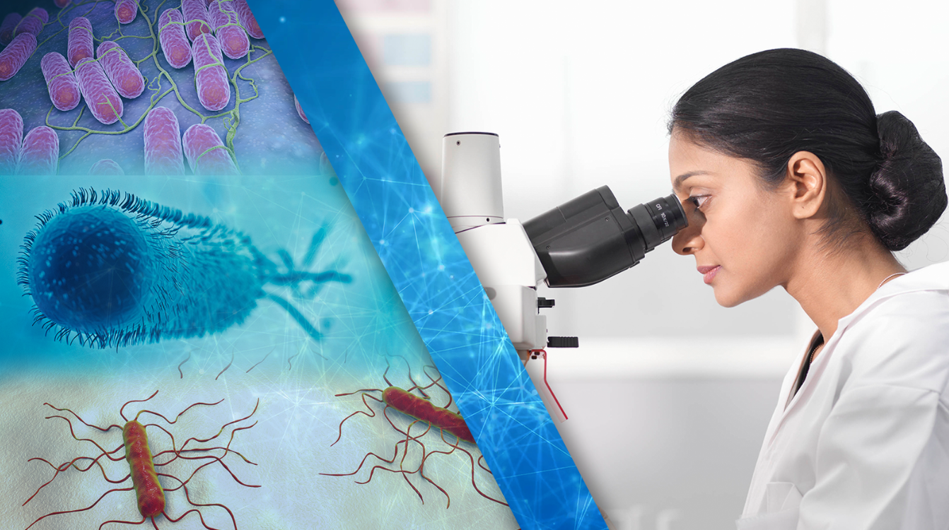 FDA tracking 18 active outbreaks