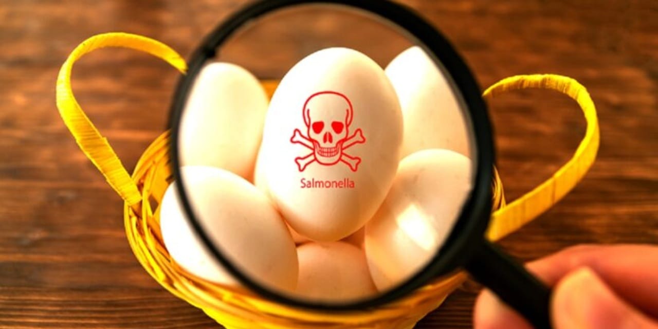 UK Reports Highest Salmonella Case Count in Multi-Country Outbreak