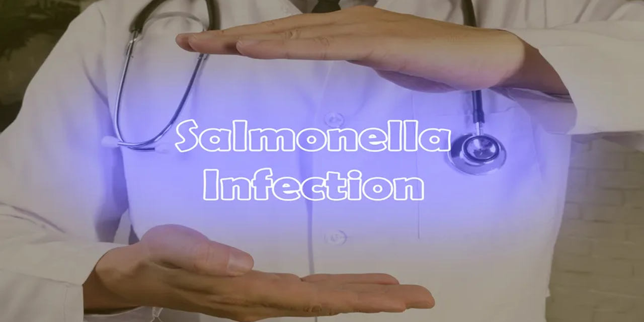 Source unknown as Salmonella sickens 13 in Denmark