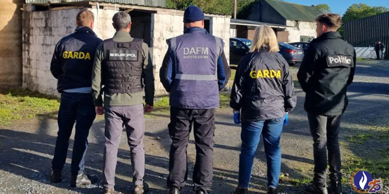 Belgium leads horse meat fraud investigation