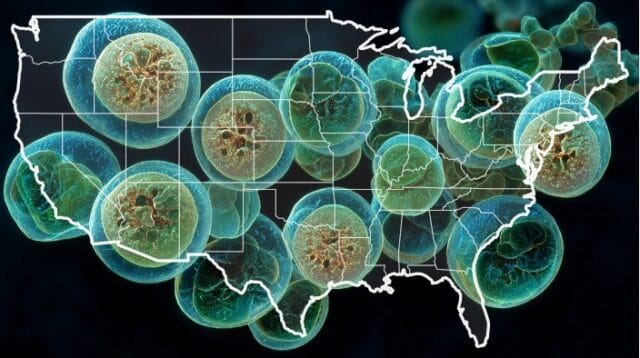 CDC says Cyclospora outbreak linked to iceberg lettuce is over