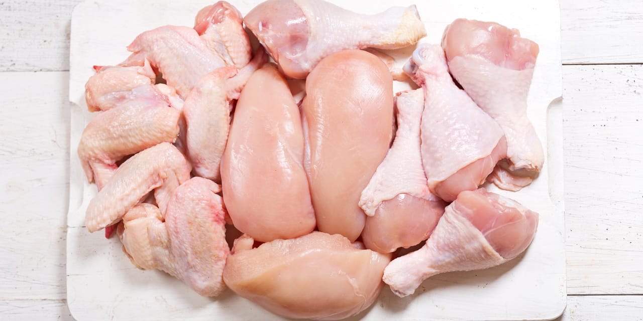 Light technique shows promise in tackling Campylobacter 2 Light technique shows promise in tackling Campylobacter