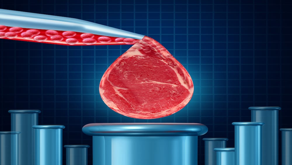 foodsafetynews.com - Dan Flynn - Sunday Edition: Cultivated meat