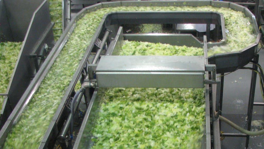 Consumer Reports wants FDA official to explain the agency's response to the Cyclospora outbreak