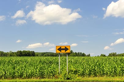 Cornfield and decision sign