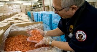 fdashrimpinspection-iphone