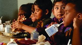 kids-school-lunch-iphone