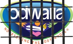 Odwalla_logo.106170247_std