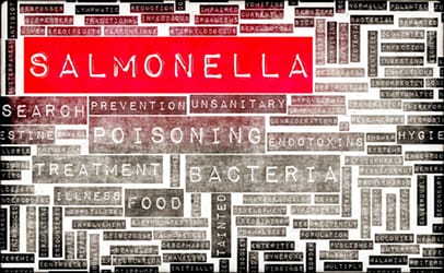 http://www.dreamstime.com/stock-photography-salmonella-food-poisoning-concept-awareness-prevention-image33467602