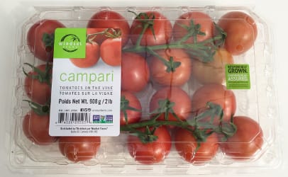 Windset-Farms-EFI-tomatoes