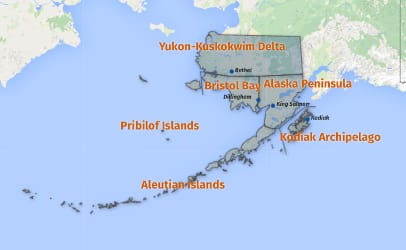 Bethel is in southwestern Alaska in the region known as the Delta. 