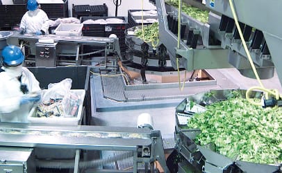 The salad production facility in Springfield, OH, was highlighted in Dole’s 2010 corporate report.