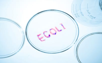 http://www.dreamstime.com/stock-photos-ecoli-bacteria-image20325533