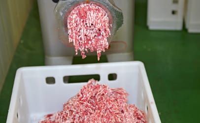 industrial meat grinder