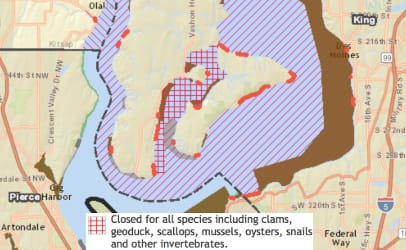 Quartermaster Harbor is the area with the crosshatch markings.