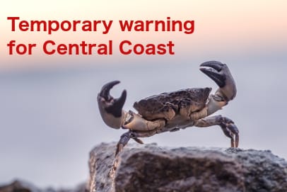 rock crab warning illustration