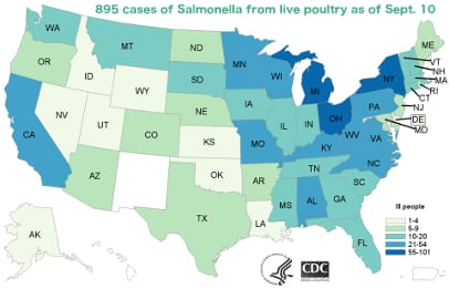 Click on the map to read the CDC's final report on the eight outbreaks linked to contact with live poultry.