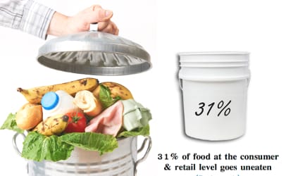 illustration food waste