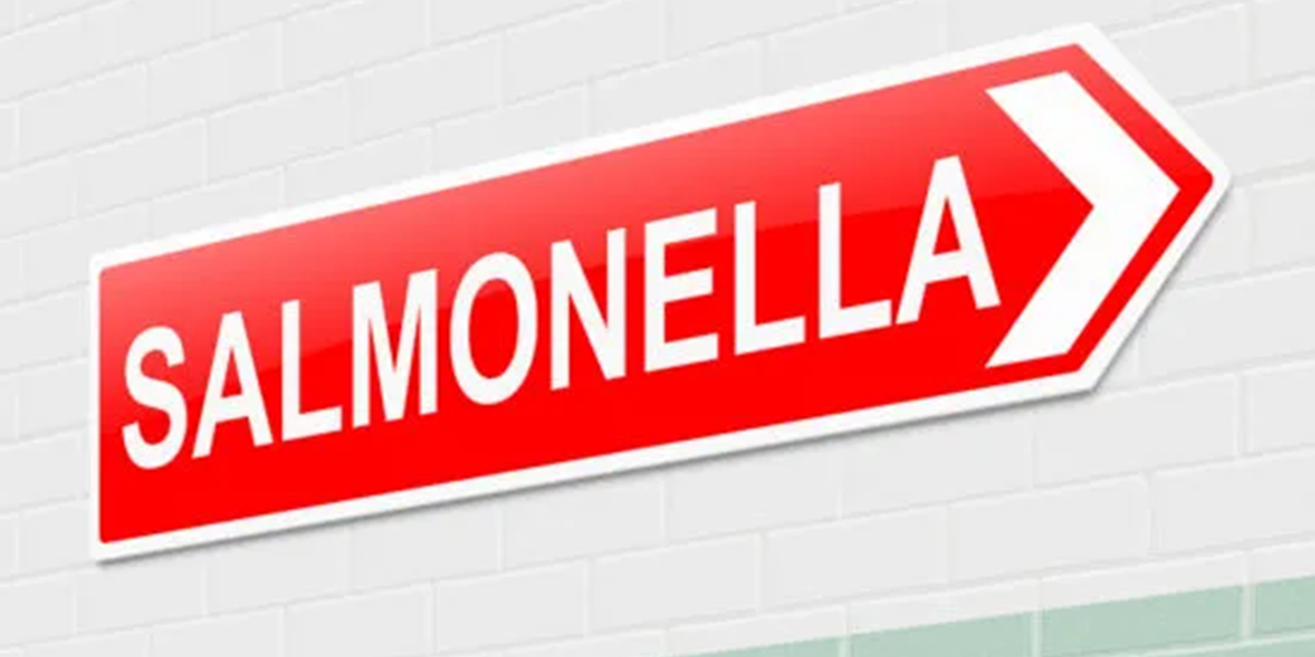 Belgian committee looks at changes to Salmonella rules