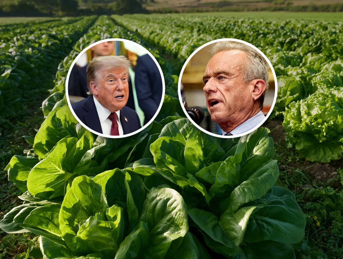 foodsafetynews.com - Bill Marler - Publisher's Platform: The Fifty-State Cyclospora Count Is 20,927 This Morning. The President Has Said One Thing About It. The Secretary Says It Is Under Control. Here Is What They Should Have Said Instead.