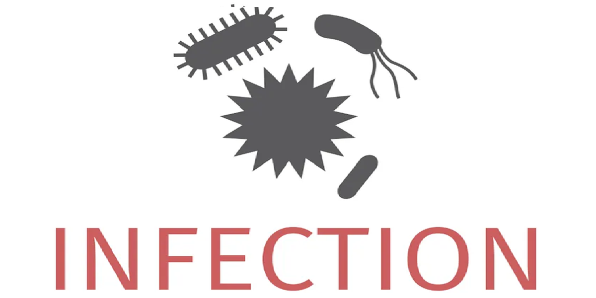 Swiss food agency reports spike in outbreaks