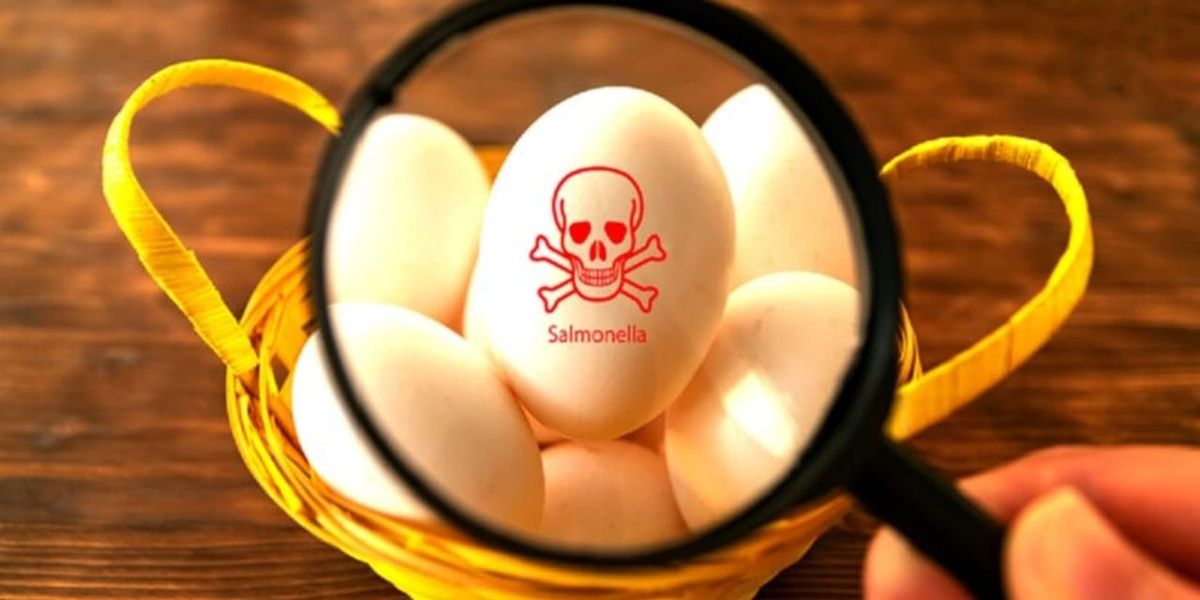 Spanish authorities urged to share Salmonella outbreak details