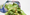 UK salad sampling reveals low contamination rate